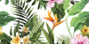 TROPICAL FLOWERS INSERTO 60X60