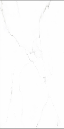 MARBLE WHITE POLISHED 60X120