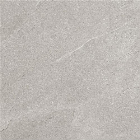 TERRA GRIS 60X60 LAPPATO G.1 EG
