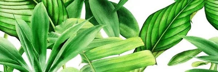 CENTRO GARDEN TROPIC A RETT. 25x75 G.1 BC