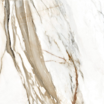 Pp CALACATA GOLD (1,8) 60x60 g.2 SG