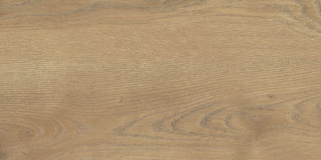 Pp TAIGA / SGR363-1 WOOD HONEY 30x60 G.1 SG PROMO