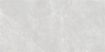 P.E. DALKEY GRIS SATINATO 60X120 REC. G1 AL wyprz.