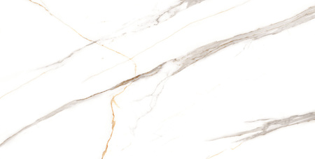 ALBATROS CARVING 600X1200 G.1