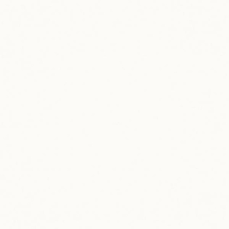 NEVE CREATIVE BIANCO SCIANA POLYSK 19,8X19,8
