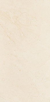 PLAIN STONE 59,8X29,8
