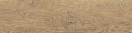 Pp TAIGA / SGR281-1 BROWN 15,5x62 G.1 SG PROMOCJA