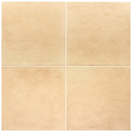 ARES NATURAL 20X20 G1 EQ 31845