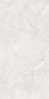 Pp FORESTER BIANCO 60X120 MATT+CARVING G1.IMP1