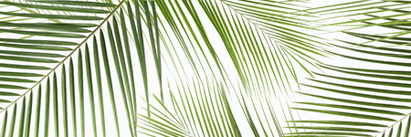 CENTRO BRENNERO TROPIC INSERTO RETT 2x25x75 g.1 CK