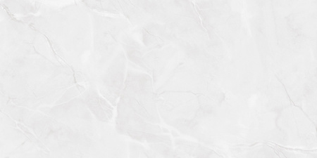 ALASKA GREY LIGHT 60X120 POLISHED G1.MIB