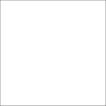 WHITE POLISHED 600X600 G.1