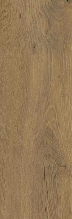 FLYWOOD HONEY GRES SZKL. STRUKTURA MAT. 20X60