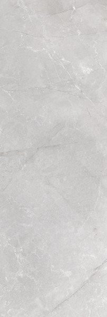 BRAGA GREY 25X75