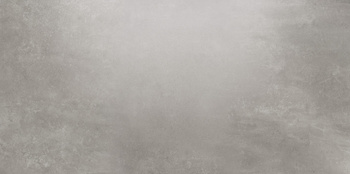 GRES TASSERO GRIS LAPPATO 1197X597 G.2