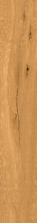 OAK HONEY MATT 20X120