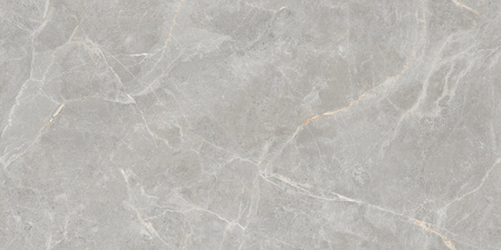 OLIVIA GREY 60X120 POLISHED G1.MIB