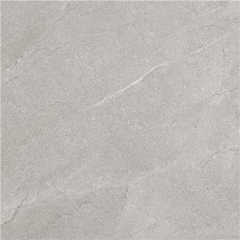 TERRA GRIS 60X60 LAPPATO G.1 EG