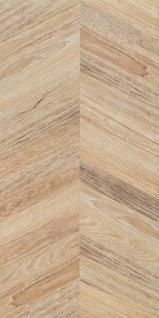 HASS BROWN 59,8X119,8