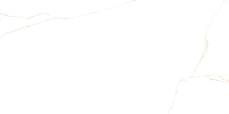 PRIS.SG. BIANCO MARE GOLD LAPP. 60X120 G1