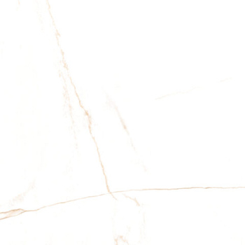 PISANO ORO SATYNA 100X100 G1 CA