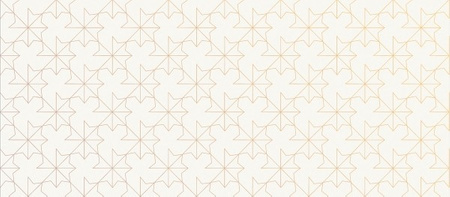 CIELO E TERRA STELLE BIANCO DEKOR GRESOWY 119,8X274,8