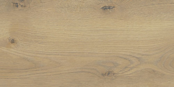 Pp TAIGA / SGR256-1 BEIGE 30x60 G.1 SG PROMOCJA