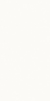 NEVE CREATIVE BIANCO SCIANA POLYSK 9,8X19,8