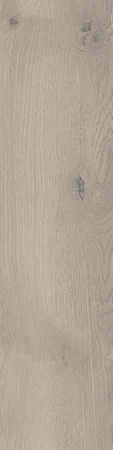 Pp TAIGA / SGR248-1 GREY 30X120 G.1 SG PROMOCJA