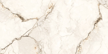 MARMO WHITE 60X120 POLISHED+CARVING G1.IMP1