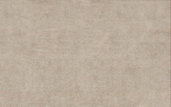 SUITE TAUPE 25X40 GAT.1