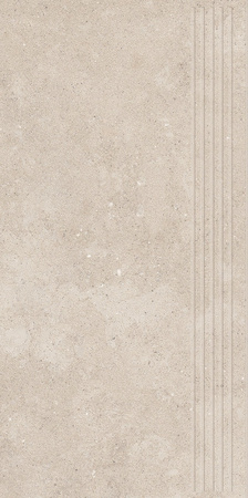 CITYROCK BEIGE STOPNICA PRASOWANA MAT 29,8X59,8