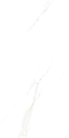 ALAVES WHITE MATT CARVING 60X120