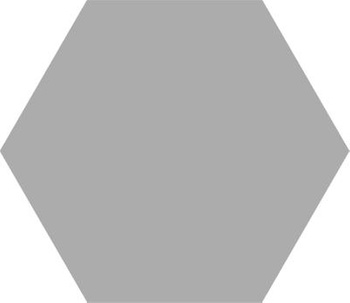 Pp HEX BASIC SILVER 25 22X25 G1 CO wyprz.