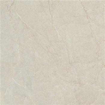 TERRA BEIGE 60X60 LAPPATO G.1 EG