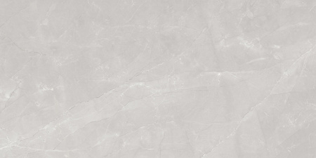 COR_LEO GREY POLISHED 1200X2400 G.1