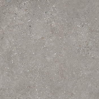 Pp SGR202-2 / KRONOS/VOYAG ANTR Rett. 60x60 g.2 SG