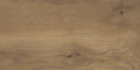 Pp TAIGA / SGR257-1 WOOD BROWN 30x60 G.1 SG PROM