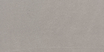 GRES PAVERA SILVER RECT. 797X397 G.2