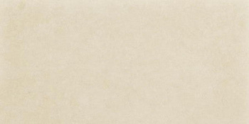 INTERO BEIGE GRES REKT. MAT. 29,8X59,8