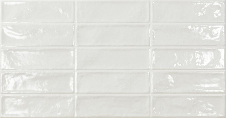 EC. POOL WHITE 31,6X60 G1 EC