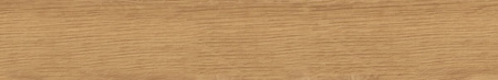 CLASSICA BEIGE GRES REKT. MAT. 9,2X60