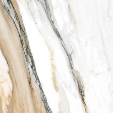 CALACATTA GOLD REKT. MAT 60X60