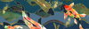 RED KOI 1 DECOR  30X90