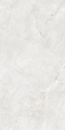 Pp FORESTER BIANCO 60X120 MATT+CARVING G1.IMP1