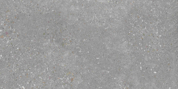 Pp SGR209-1 VOYAGER ANTRACITE TOWN 30x60 G.1 SG PR