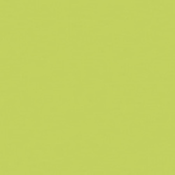 GAMMA SELEDYNOWA SCIANA MAT. 19,8X19,8