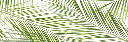 CENTRO BRENNERO TROPIC INSERTO RETT 2x25x75 g.1 CK