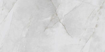 SERGIA GREY CCR69-1 30X60