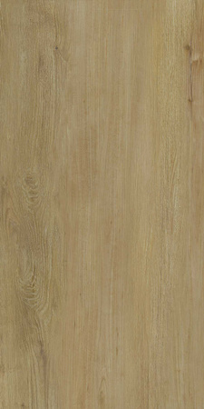 SCANDINAVIA BEIGE 31X62